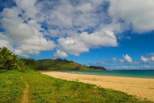 Lola Hale