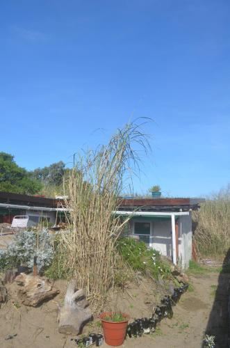 Eco-hostal Vegetariano Conciencia Del Tuy�