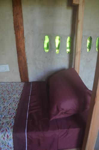 Eco-hostal Vegetariano Conciencia Del Tuy�