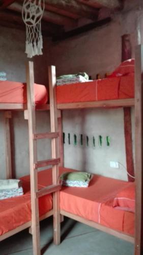 Eco-hostal Vegetariano Conciencia Del Tuy�