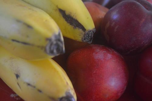 Eco-hostal Vegetariano Conciencia Del Tuy�