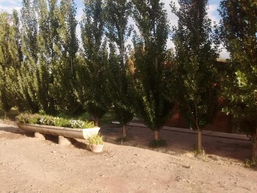 Agroturismo Posada Bodega Apotema