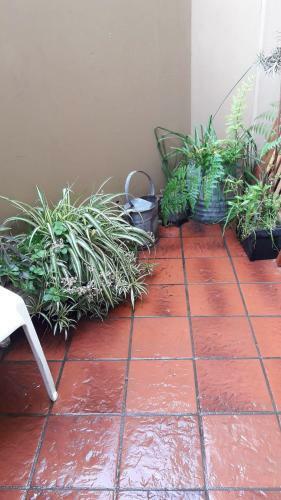 Apartamento Juana