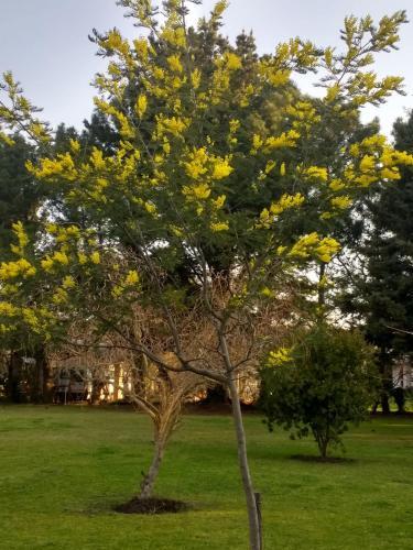 Apartamento Quinta �ancai