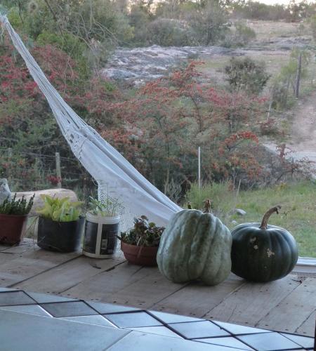Lodge El Pinar - Hospedaje Serrano
