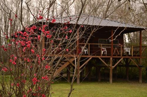 Agroturismo La Verde Raw