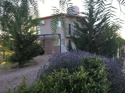 Lodge Caba�as La Emilia Apart