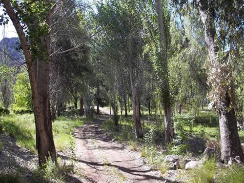 Lodge Bosque Divino Caba�as & Suites