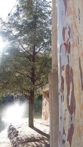 Lodge Bosque Divino Caba�as & Suites