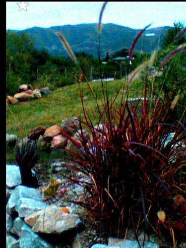 Los Cerros