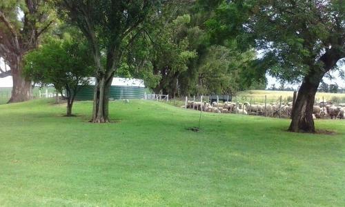 Agroturismo Establecimiento Horizonte