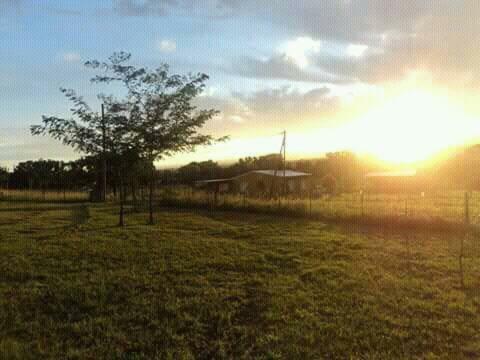 El Crepusculo ( Casa De Campo)