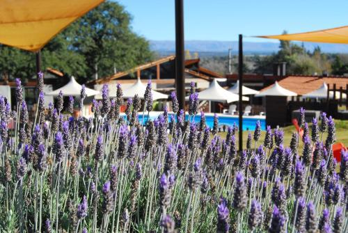 Lodge Caba�as Loma Azul