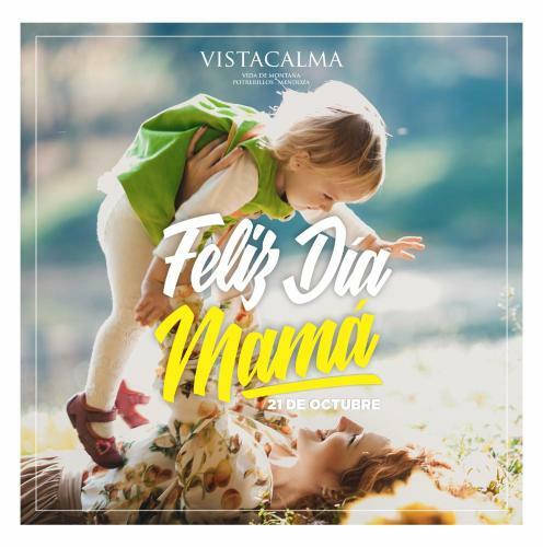 Lodge Complejo De Caba�as Vistacalma
