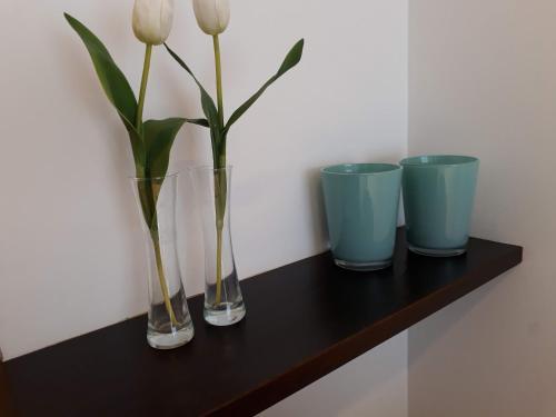 Apartamento La Plata 6