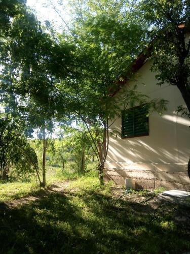 Lodge Caba�as Patricia