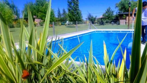 Apartamento Alma Luna Caba�as De Campo