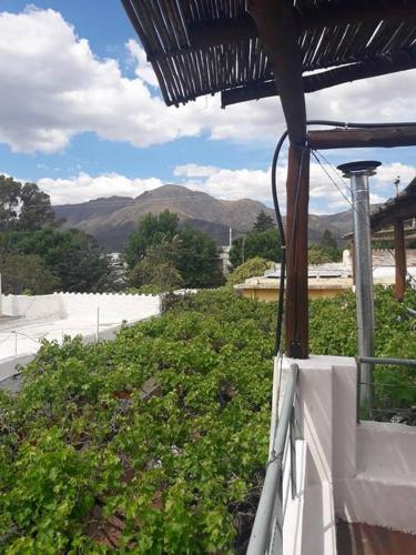 Hostal Guest House Mielaloe