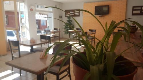 Hotel Espa�ol