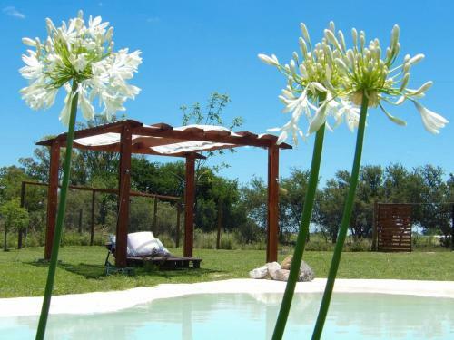 Lodge Complejo "la Roca" - Caba�a Y Hospedaje