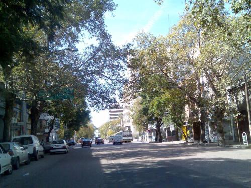 Apartamento Jacarand�