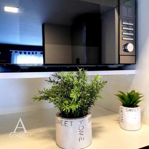 Apartamento Temporario Amoblado Premium Con Cochera