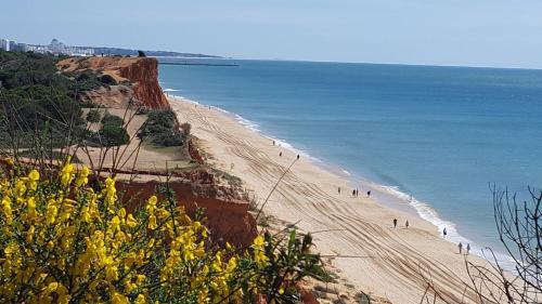 Apartamento Albufeira, Cerro Branco (42)