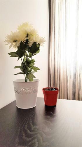 Apartamento Foros