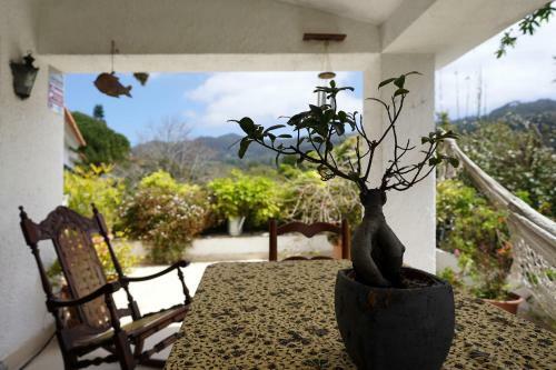 Casa Da Rampa