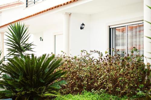 Casa Camila III