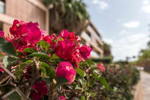 Apartamento Chocolate - 300 Meters From Salgados Beach