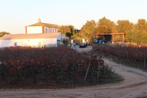 Agroturismo Wine House