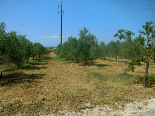 Quinta De S�o Jo�o - By Portugalferias