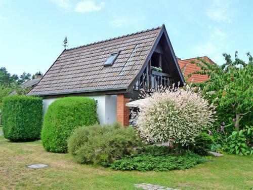 Ferienhaus Born Fdz 221
