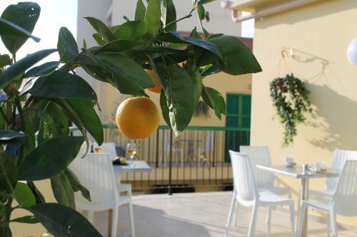 Apartamento 4you Studios