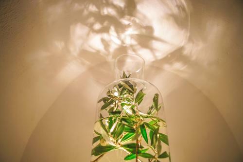 Bed & Breakfast Trulli Ant� Charme & Relax