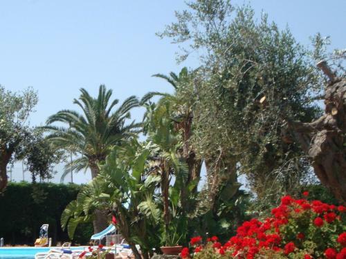 Locazione Turistica Villa Sinfonia