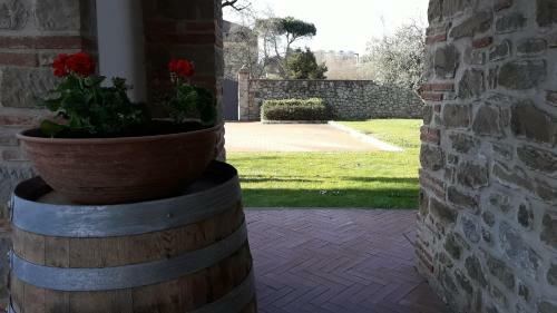B&B Borgo Del Contadino