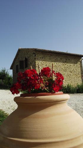 Agroturismo Agriturismo Paradiso 44