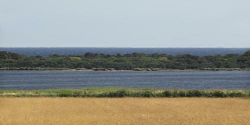 Agroturismo La Capalbiola