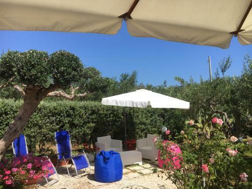 Bed & Breakfast Uliveto House