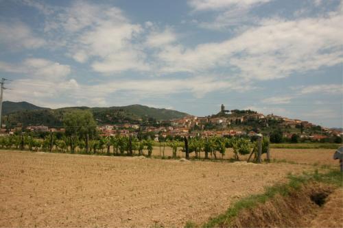 Podere Viti Apartment Sleeps 4 Pool