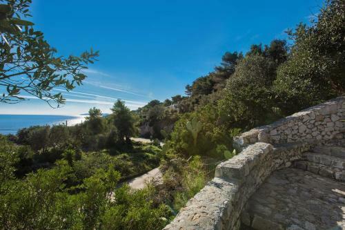 Pajara Acquaviva