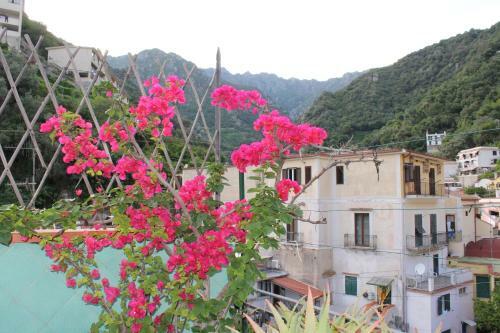 Bed & Breakfast Reginella