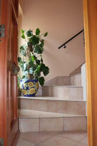 Bed & Breakfast Reginella