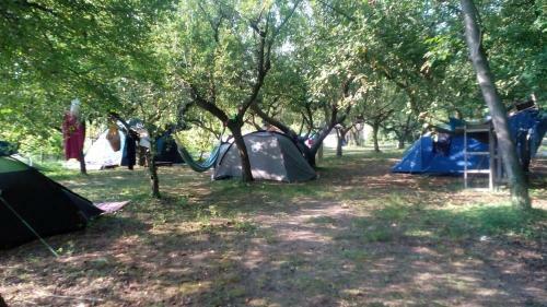 Ecogarden Camping