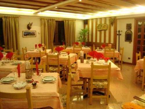 Hotel Punta Cian