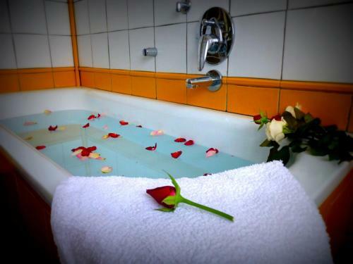 Hostal Venice Hazel Guest House