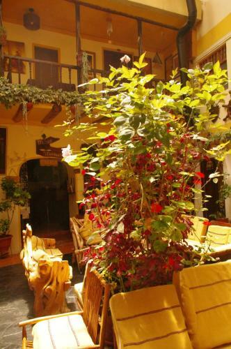 Hostal Cusi Wasi