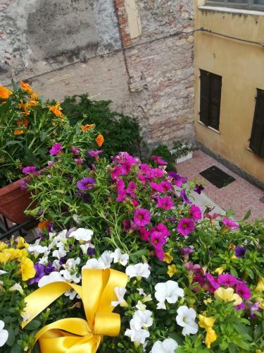 Hostal Blunotte